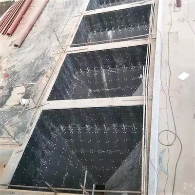 La centrale elettrica termica nera ha polverizzato il bordo del rivestimento del polimero del carbonile di UHMWPE